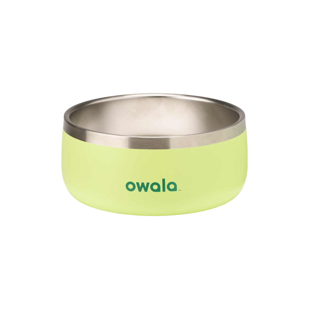 Pet Bowl 7TJJ