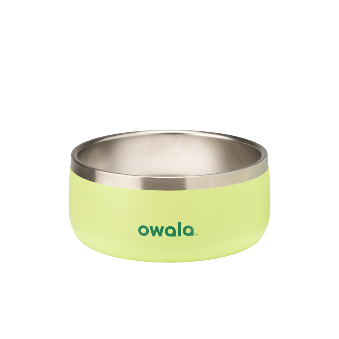 Pet Bowl 7TJJ