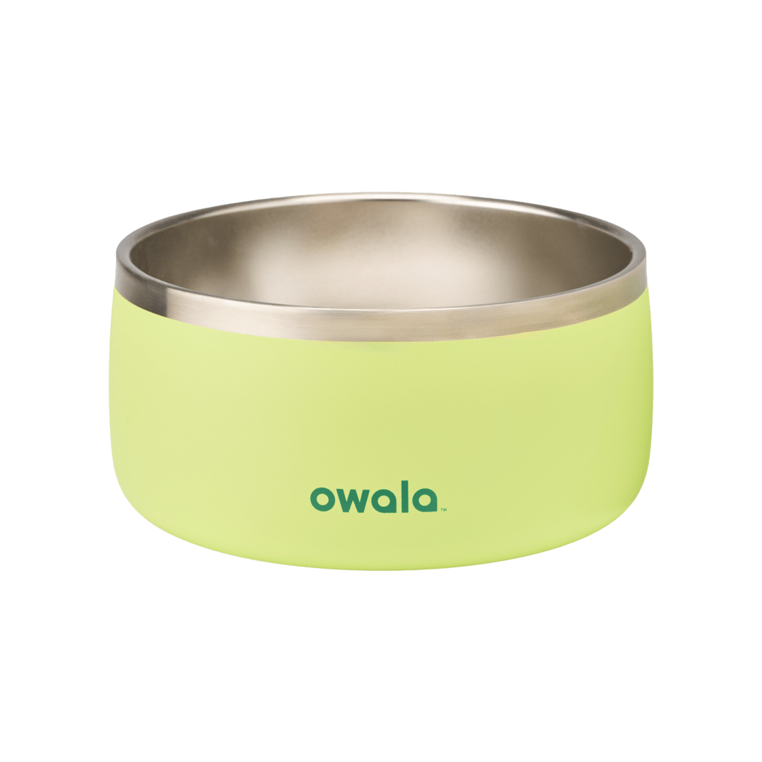 Pet Bowl 7TJJ