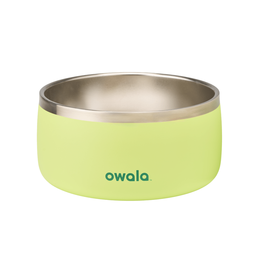 Pet Bowl 7TJJ