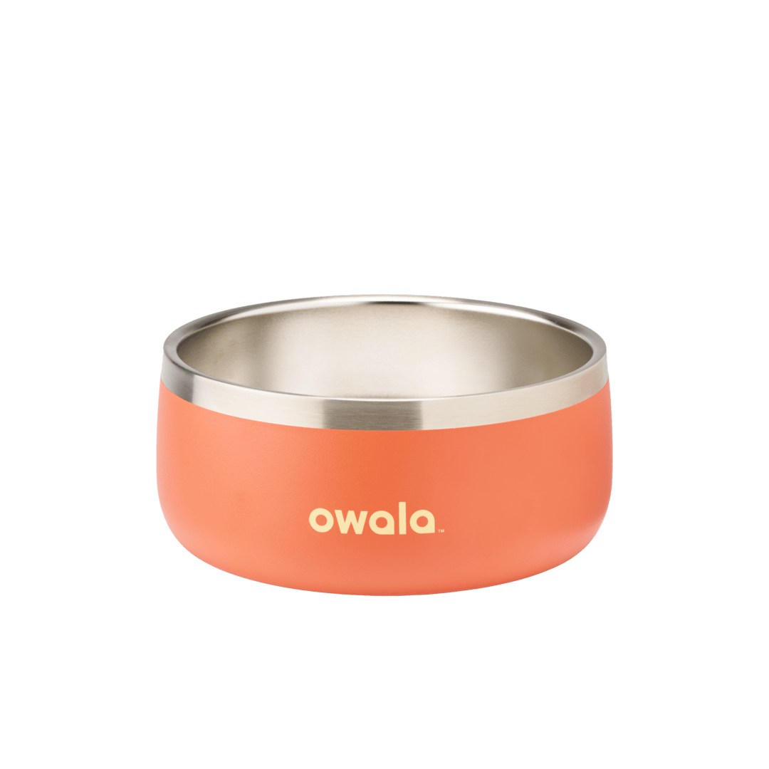Pet Bowl 7TJJ