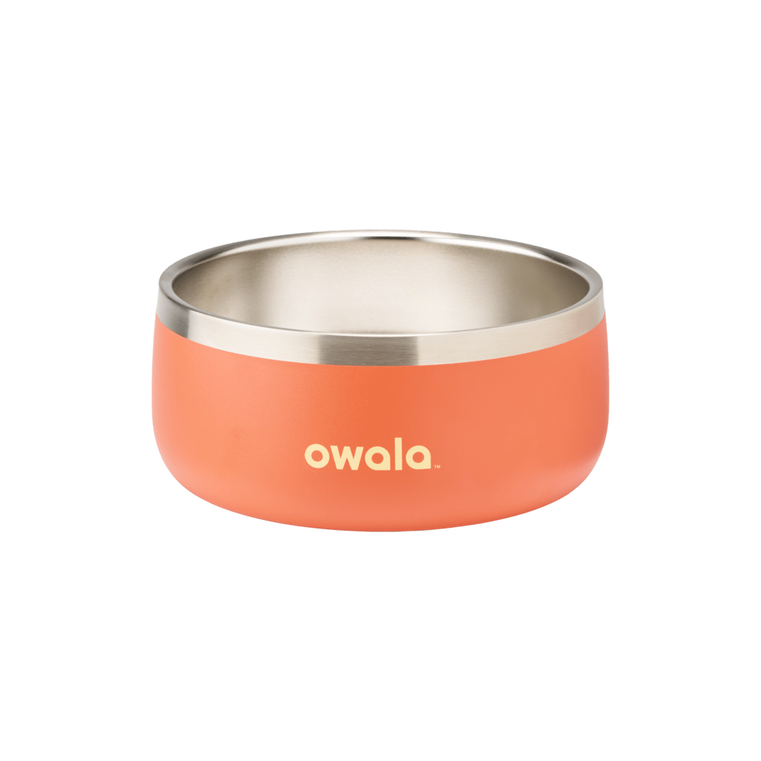 Pet Bowl 7TJJ