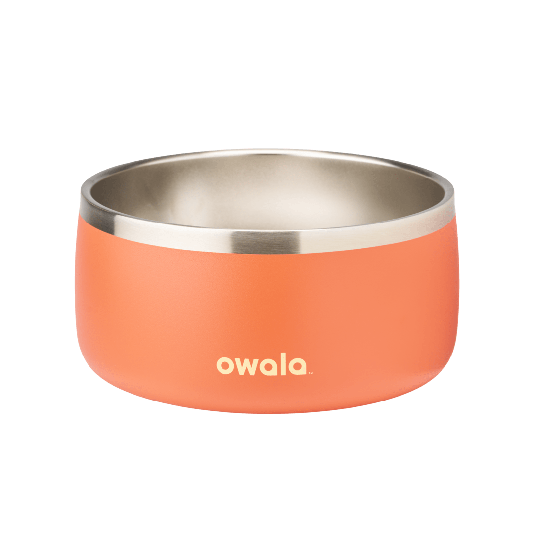 Pet Bowl 7TJJ