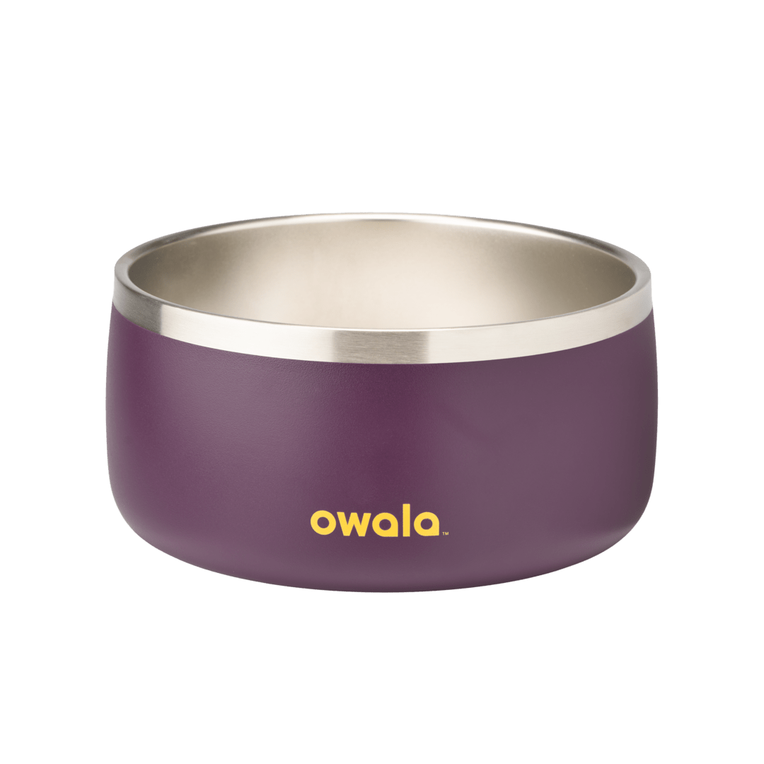 Pet Bowl 7TJJ