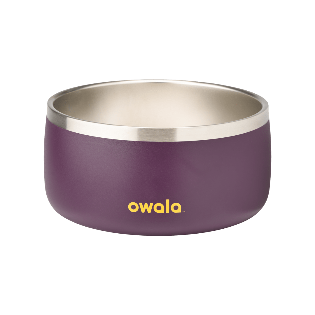Pet Bowl 7TJJ