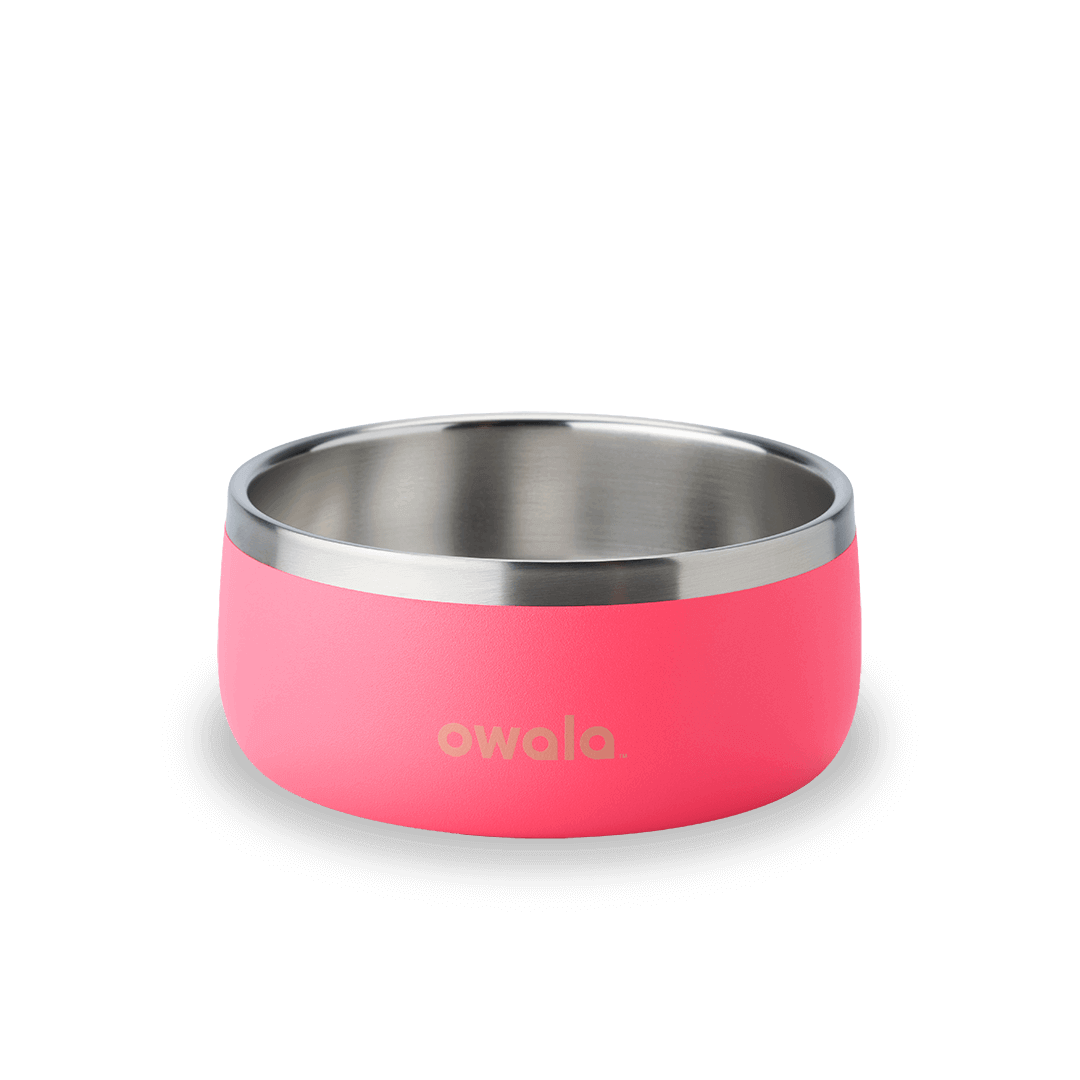 Pet Bowl 7TJJ