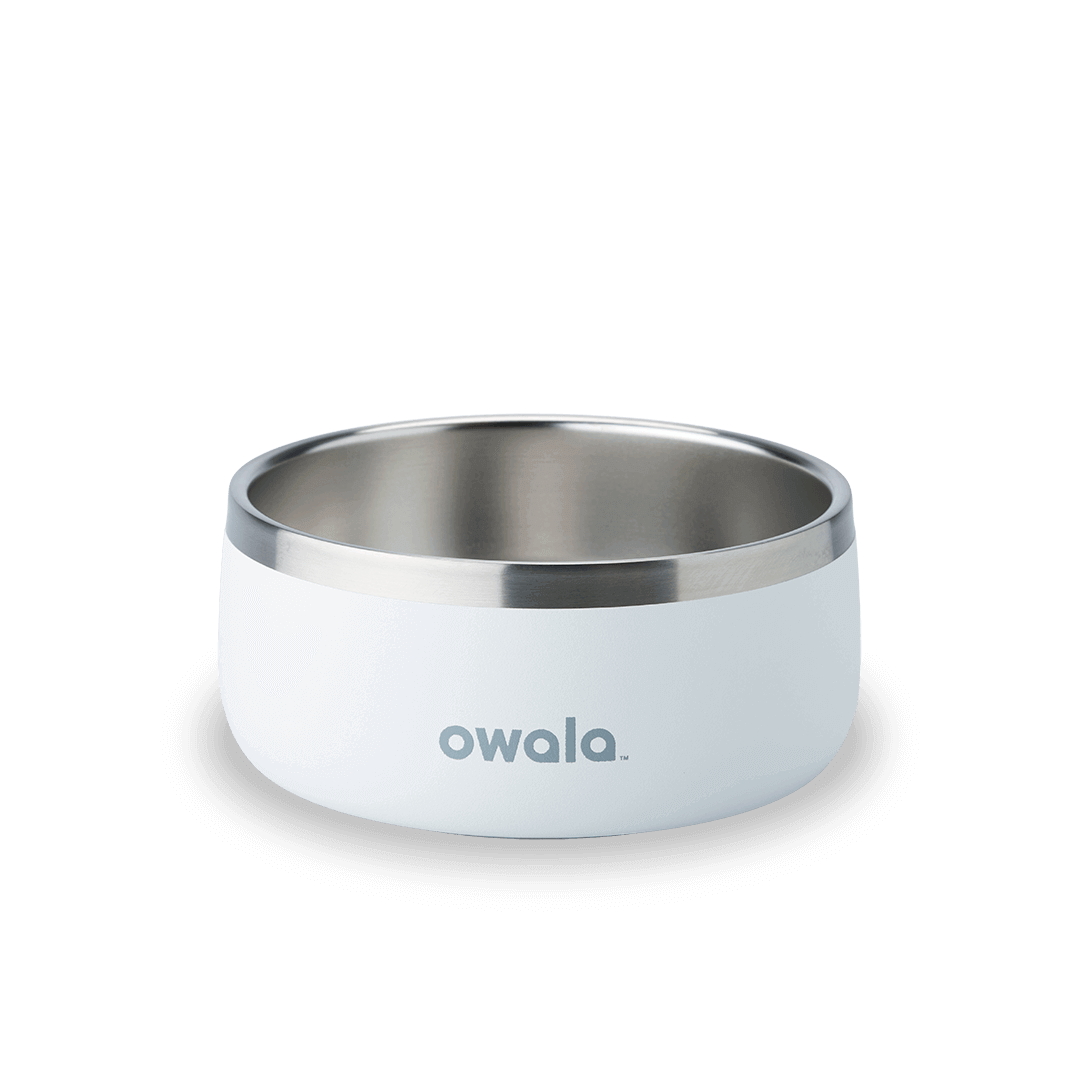 Pet Bowl 7TJJ