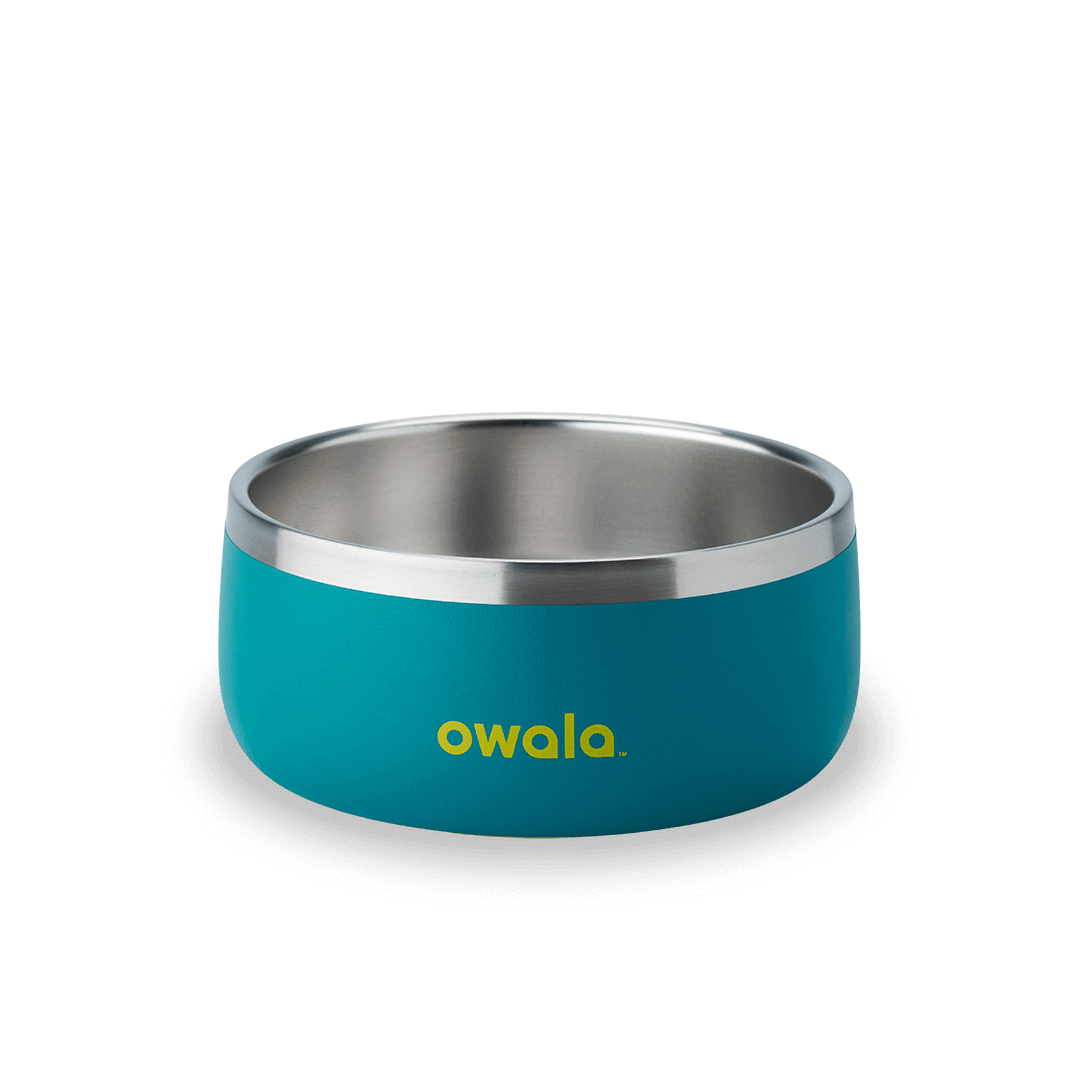 Pet Bowl 7TJJ