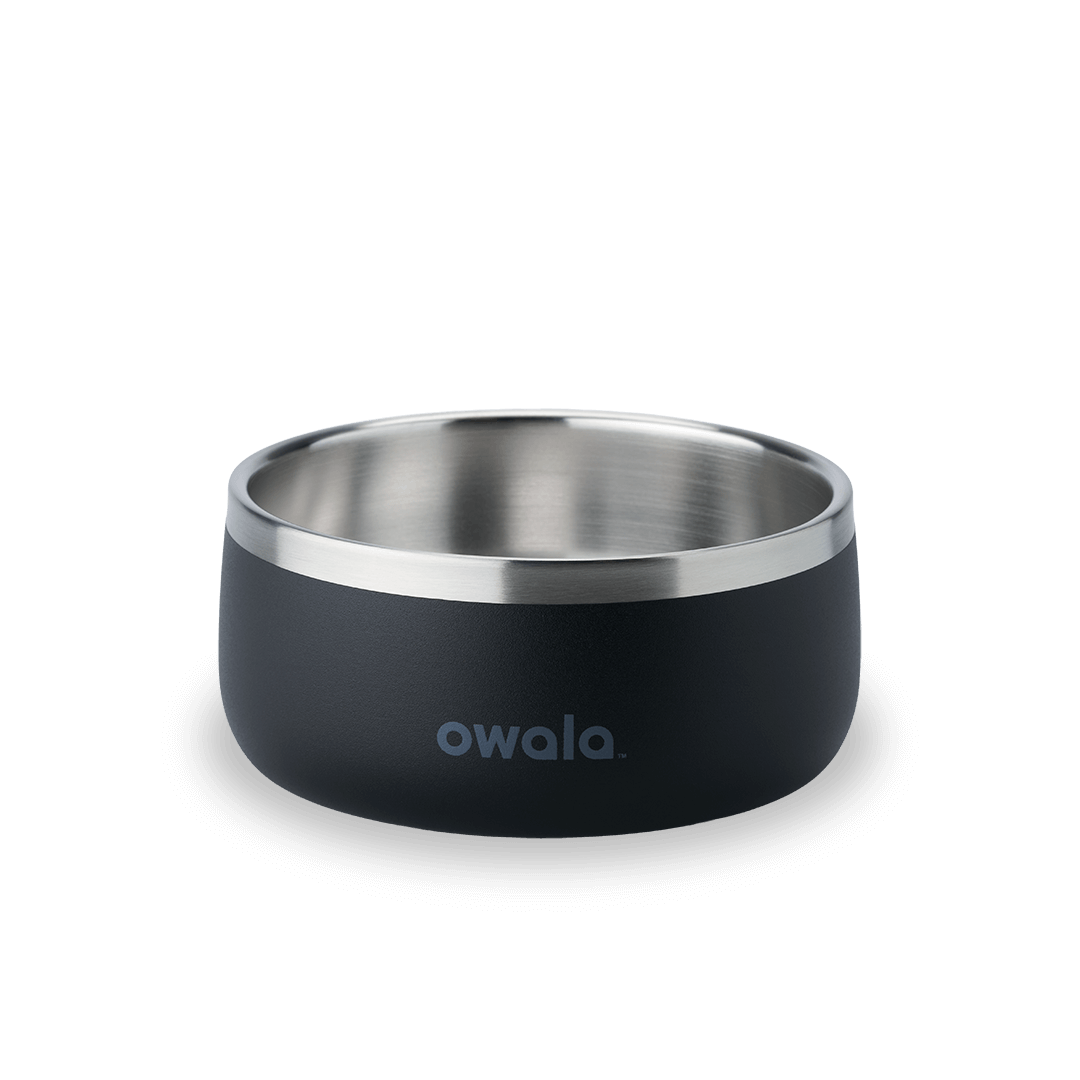 Pet Bowl 7TJJ
