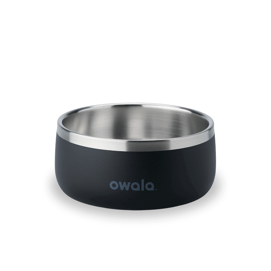 Pet Bowl 7TJJ