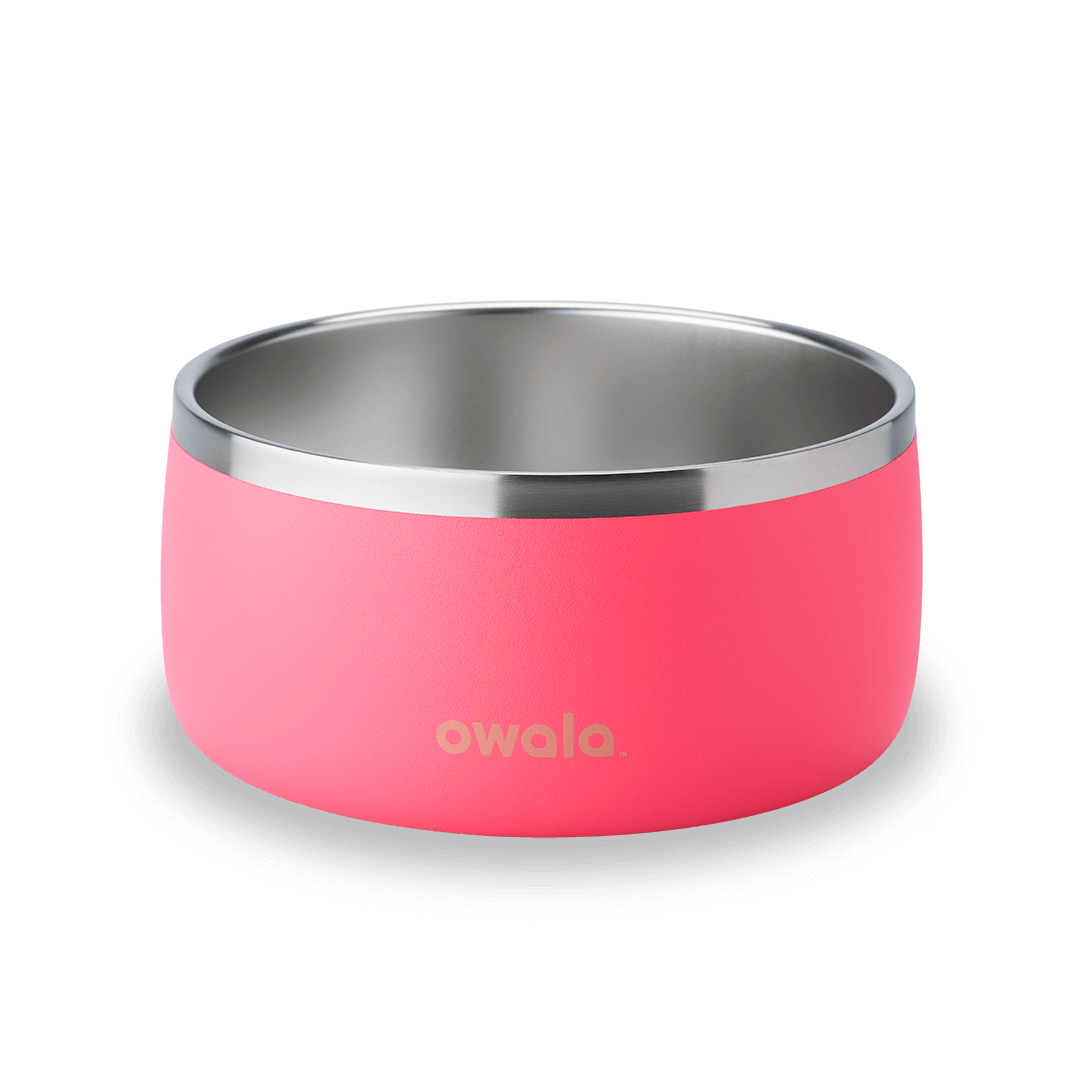 Pet Bowl 7TJJ