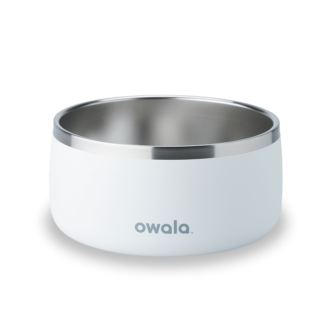Pet Bowl 7TJJ
