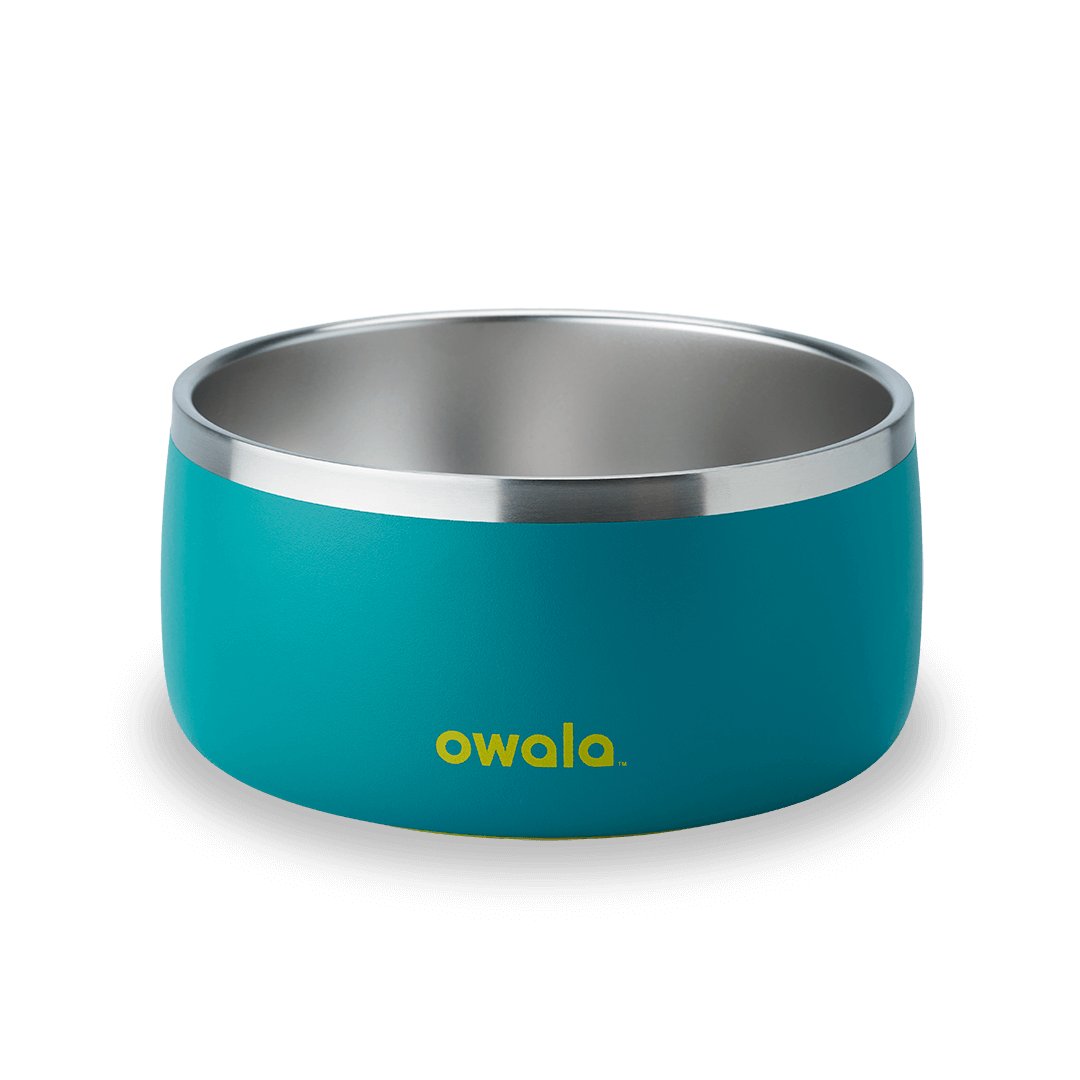 Pet Bowl 7TJJ