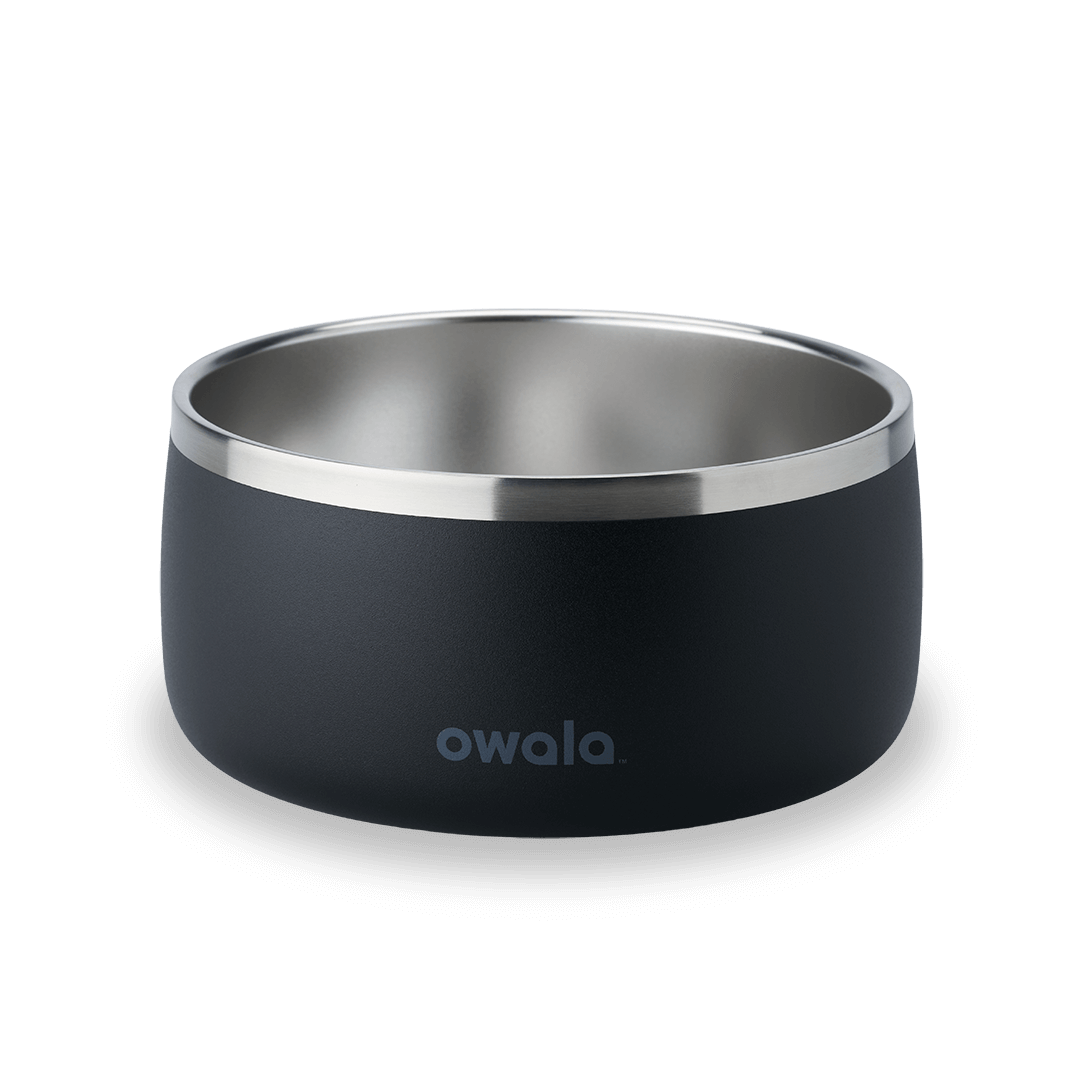 Pet Bowl 7TJJ